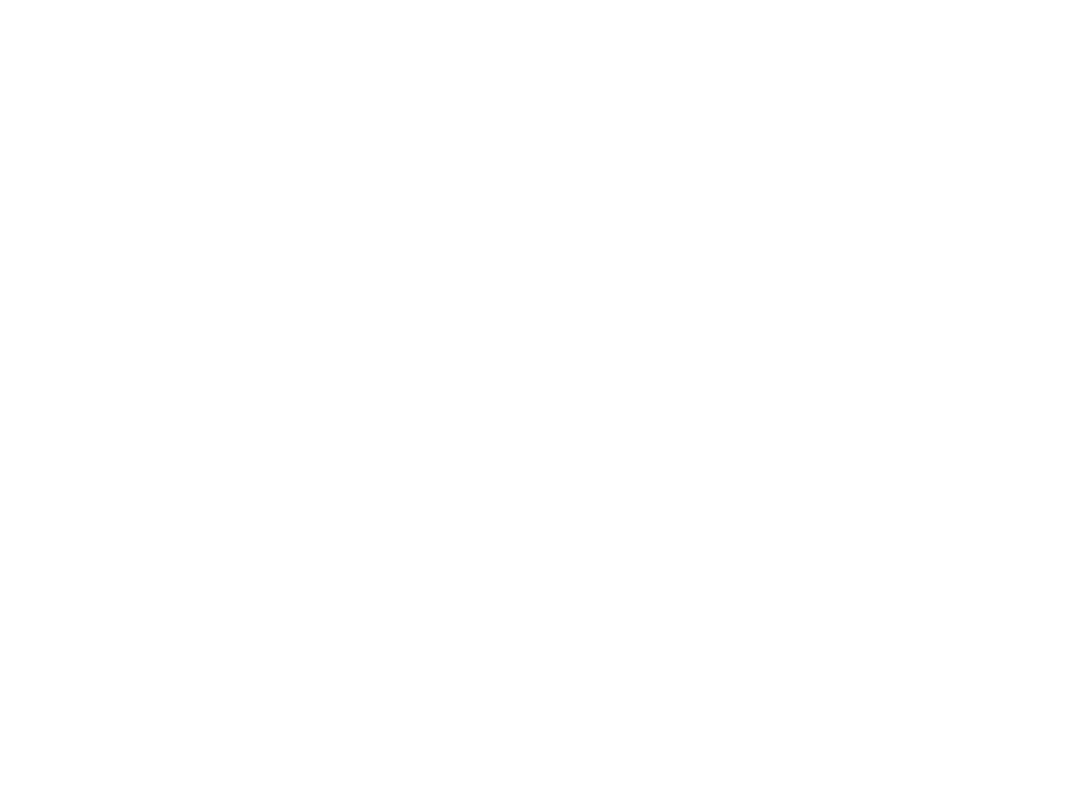 Amani Tours