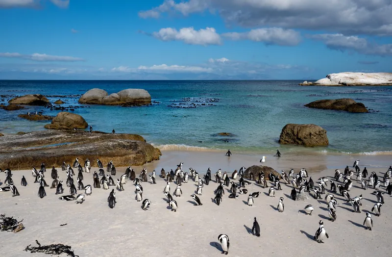 Südafrika