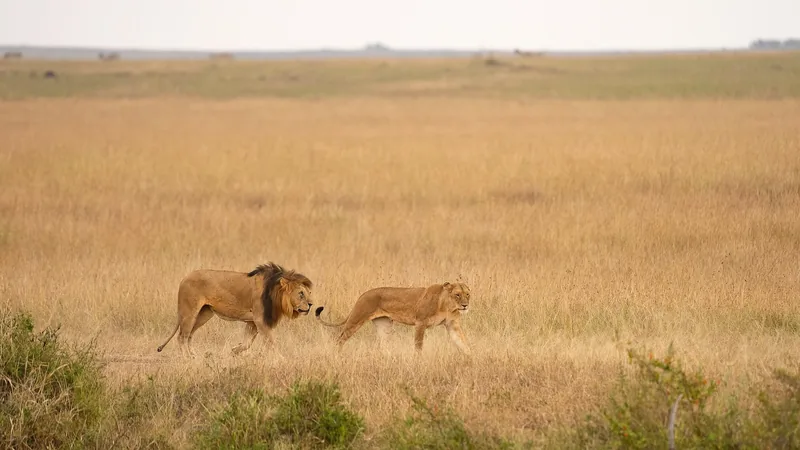 Kenya
