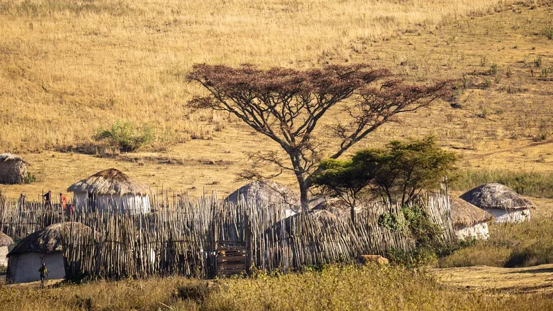 7 Tage Masai Mara, Nakuru und Samburu Safari