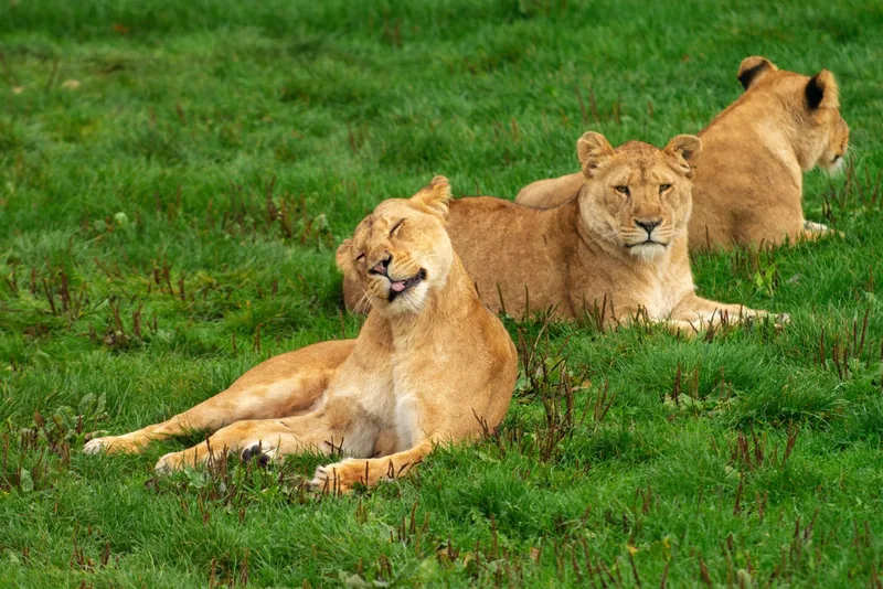 Tagesausflug zum Arusha Nationalpark