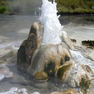5 Tage Tour durch den Queen Elizabeth und Semuliki Nationalpark