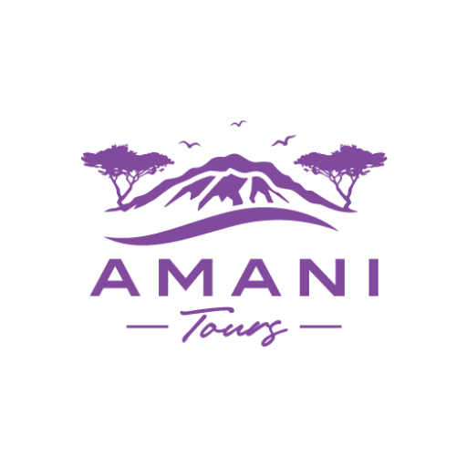 Amani Tours